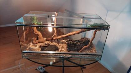 Reptilien-Terrarium
