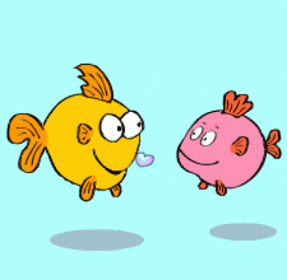 Suche kostenlose Aquariumpflanzen für ein Kindergarten-Aquarium