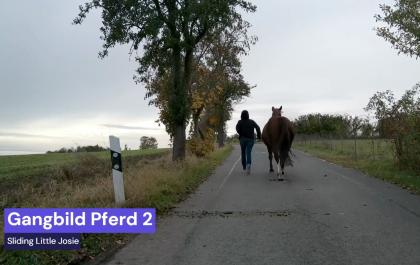 Huf-Kurs, Dual-Kurs Präsenzunterricht