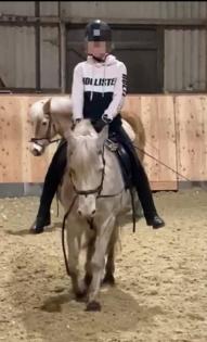 Suche Reitbeteiligung Mensch sucht