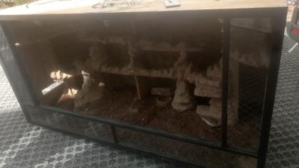 Großes Wüsten - Terrarium bezugsfertig