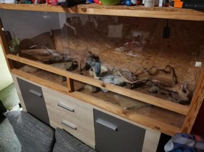 Terrarium