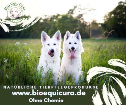 Natürlicher Zeckenschutz für Hunde - Zecken Stop/Schutz Flöhe