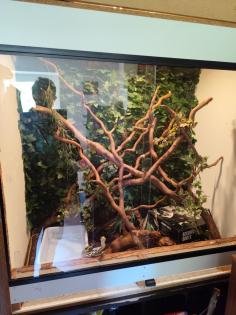Holzterrarium zu Verkaufen
