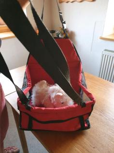 Hundtranstporttasche
