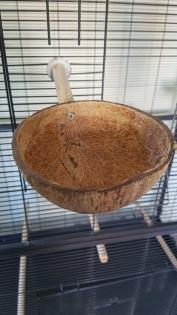 Voliere für Vogel und Nager