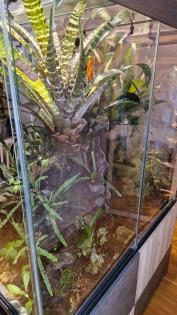 2 zu einem zusammengefügtes Terrarium Baujahr 2018 umständehalber zu verkaufen