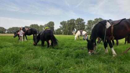 Kid s Kurs Pferdecamp, Reiterferien