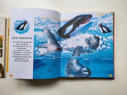 3 Tierbücher, Dinosaurier