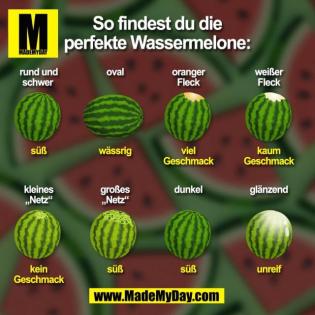 3 Katzenbabys zu vermitteln