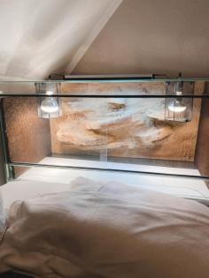 Glasterrarium Reptilien