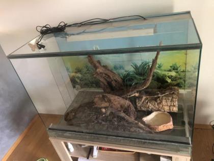 Terrarium 100x50x65 LxBxH