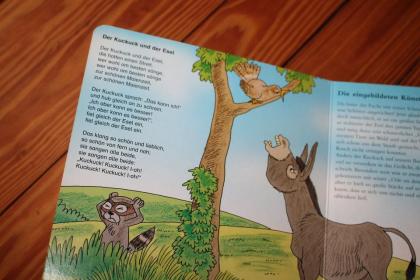 Buch Bilderbuch Pappe Mein Tier-Buch Lieder Geschichten