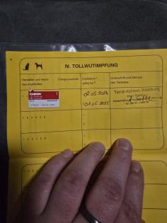 Meilo sucht dringend ein neues Zuhause