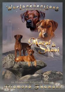 Wurfplanung Winter 2021/20 im Rhodesian Ridgeback Kennel of Diamond-Thamani