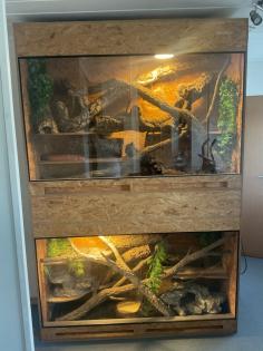 Haltungsaufgabe Kornnatter Terrarium Zubehör