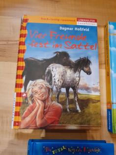 Verschiedene Jugendbücher Pferdebücher/Tierbücher Wendy, etc.
