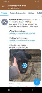 Wem dürfen wir treu zur Seite stehen