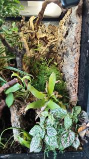 Terrarium Exoterra mit Unterschrank