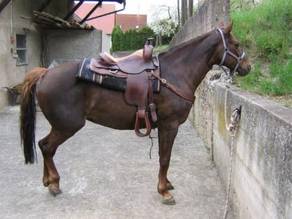 Westernsattel