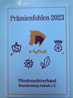 Bildschönes Stutfohlen von Kamino Real