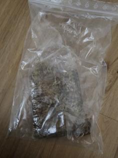 DRINGENDE ABGABE 2 Leopardengeckos jung Terrarium