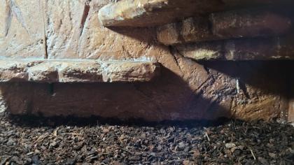 3 Pythons und vollständig eingerichtetes Terrarium