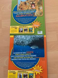 2 Tierbücher Haie und Raubkatzen Top Zustand