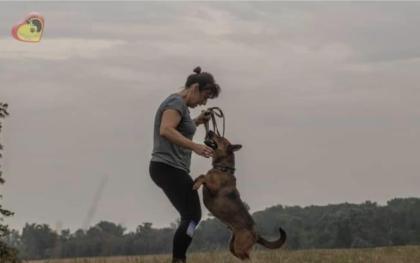 Jenna sucht ein tolles und liebevolles Zuhause