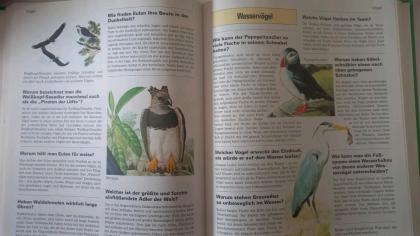 Kinderbuch, Wissen für Kinder, Tierbuch