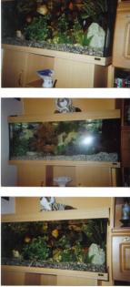 Verkaufe Aquarium