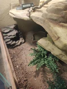 Verkaufe Terrarium 120x80x80cm mit zubehör