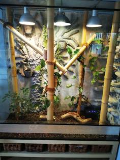 Terrarium