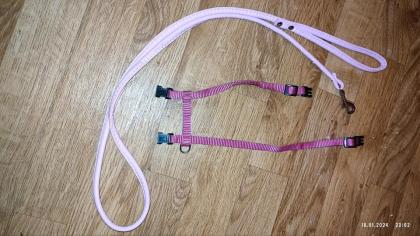 Set Nylon Geschirr Rosa XXXS Leine rosa 128cm schlaufe Leder