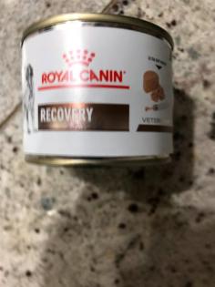Royal Canin Veterinary Feline Recovery Ultra Soft Mousse