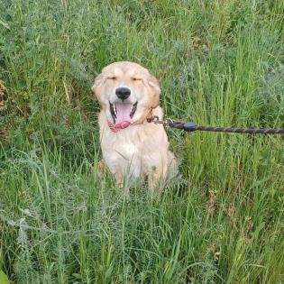 Freddie / Status sucht ein Zuhause