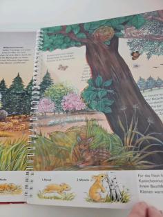 Tierbuch Ich kenn mich aus