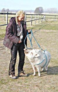 Einsteigerkurse Tierkommunikation