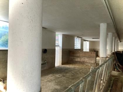 Pferdeeinstellplatz Offenstall Ebenau 10min von Salzburg 200Euro