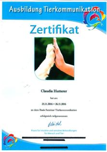 Tierkommunikation / Quantenheilung / Energiearbeit