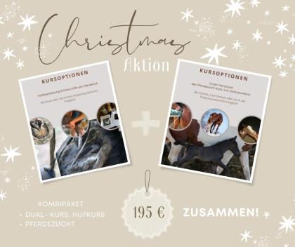 Kurse Rund ums Pferd - Weihnachtsaktion