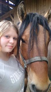 Ich suche eine Reitbeteiligung mit Unterricht / Pflegetbeteiligun