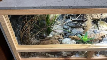 Leopardgecko Terrarium Zubehör