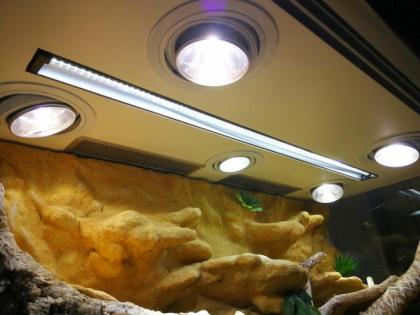 Terrarium 150x70x90 inkl. Schrank, Rückwand Beleuchtung