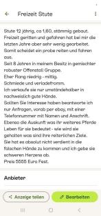 Freizeit Stute