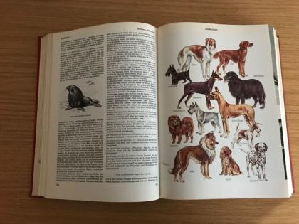 Hans-Wilhelm Smolik Das große. Illustrierte Tierbuch