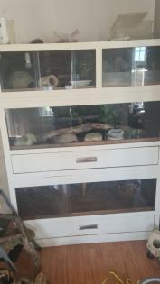 XXL TERRARIUM Wand - super Königspython Terrarien