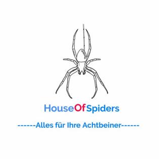 Vogelspinnen Abgabeliste