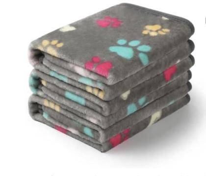 Heilige Birma Kitten Kater Katze