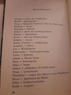 Knaak Quickloh das Eichhörnchen Rheinburg Bücherei Tierbuch
